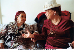 Capture d&rsquo;&eacute;cran 2015-02-19 &agrave; 13.36.19